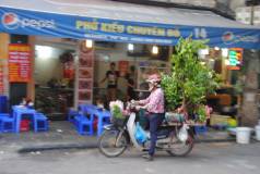 Hanoi - pousse pousse